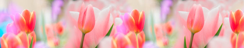 17673 кухонный фартук, фартук для кухни, стеклянный фартук, фартук на кухню