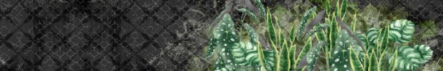 2009202123